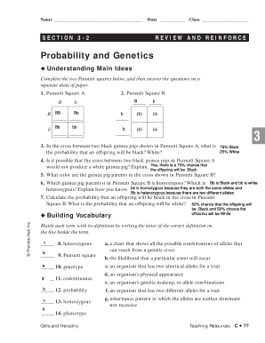 Review and Reinforce Probability and Heredity  Form