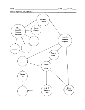 Immune System Concept Map  Form