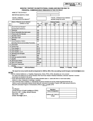 Cbhi Report  Form