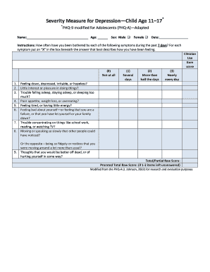 Severity Measure for Depression Child Age 11 17  Form