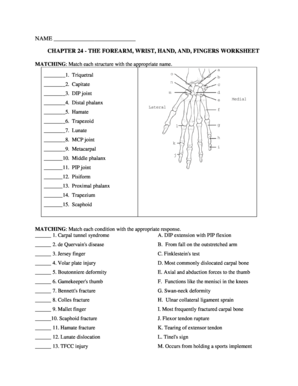 Chapter 24 the Forearm Wrist Hand and Fingers Worksheet Answers  Form