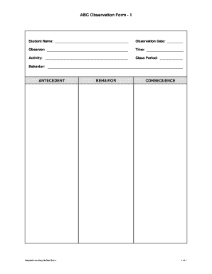 Abc Observation Form PDF