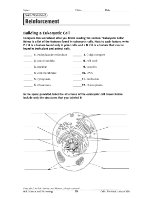 Building a Eukaryotic Cell Worksheet Answer Key  Form