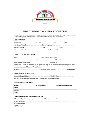 Uwezo Fund Application Form