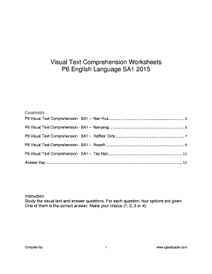 Visual Text Comprehension PDF  Form