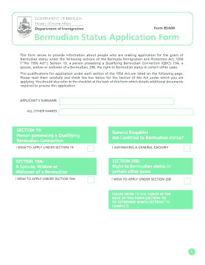 Bermuda Status Section 19a Form