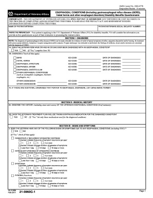 Dbq for Gerd  Form