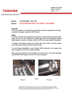 C970 Toshiba Error  Form