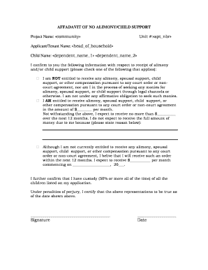 Child Support Affidavit Example  Form