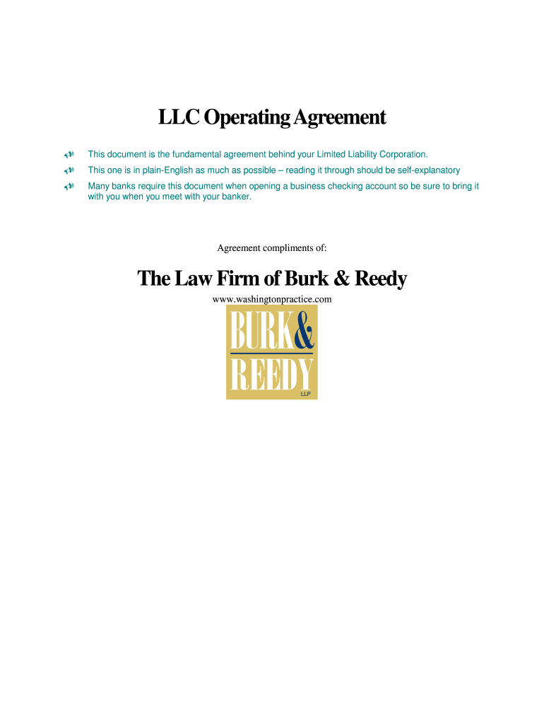 Burke & Reedy Llc Operating Agreement Form