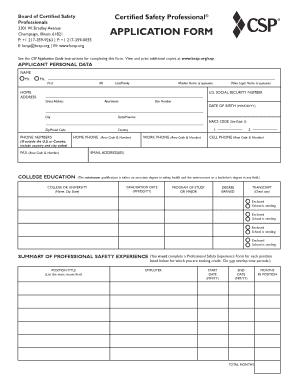 Sbi Csp Application Form PDF