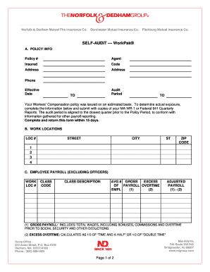 N&amp;D Self Audit Form Massagent Com