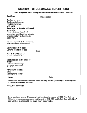 Defect Report Form