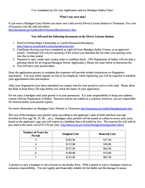 Gun Permit Tn  Form