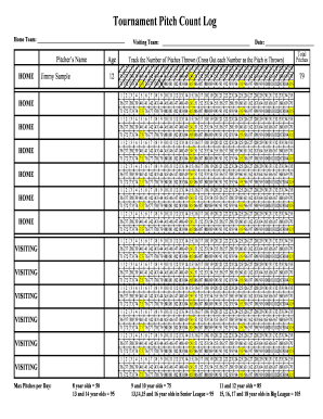 Pitching Log Sheet  Form