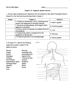 HANDOUT Digestive System Practice Wlhs Wlwv K12 or  Form