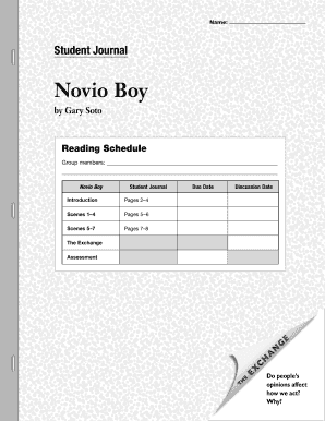 Novio Boy PDF  Form