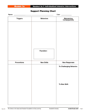 Support Planning Chart Vanderbilt University Csefel Vanderbilt  Form