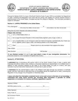 NOTARIZED AFFIDAVIT South Carolina Llr Sc  Form