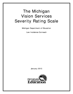 Michiganvison Services Rating Form Fillable