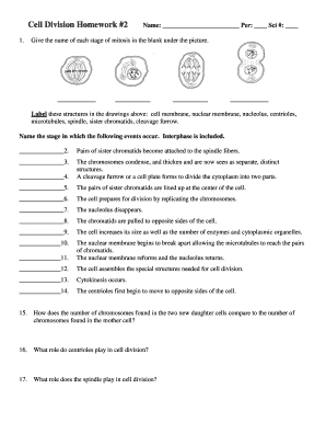 Cell Division Homework 2 Answer Key  Form