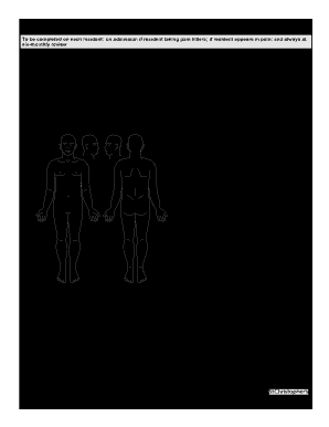 Care Home Pain Assessment Chart with PAINAD Scale  Form