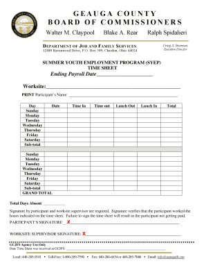 Syep Timesheet  Form