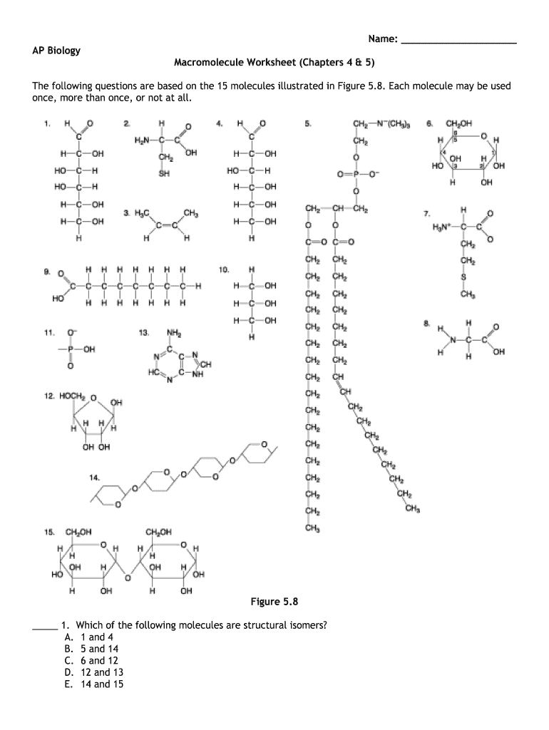 Macromolecule Worksheet Answer Key PDF  Form