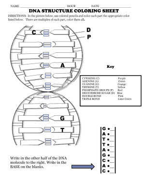 Dna Coloring Worksheet  Form