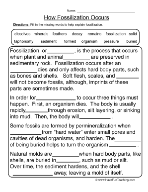 Fossils Worksheet PDF  Form