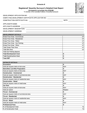 Quantity Surveyor Report Example  Form