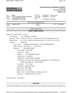 A Sample County Criminal Background Check Report Credit Reports  Form