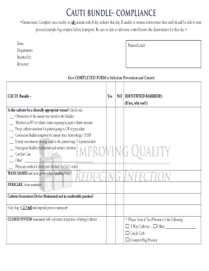 Cauti Bundle Audit Tool  Form