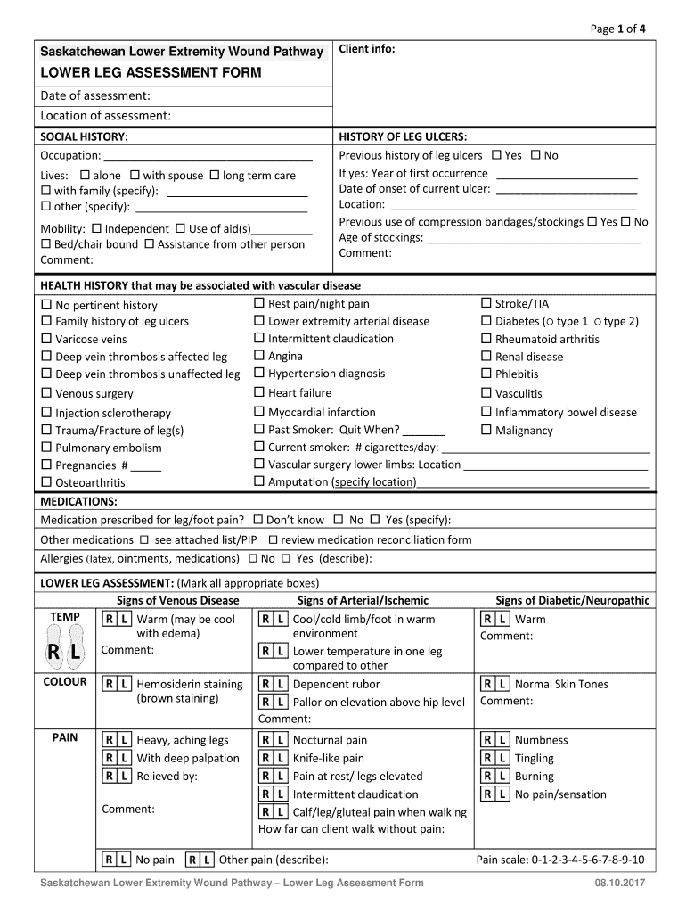  Lower Leg Assessment 2017-2024