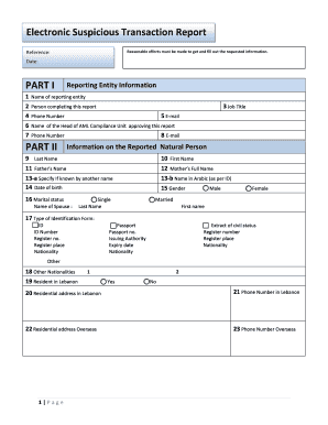 Suspicious Transaction Report Template  Form