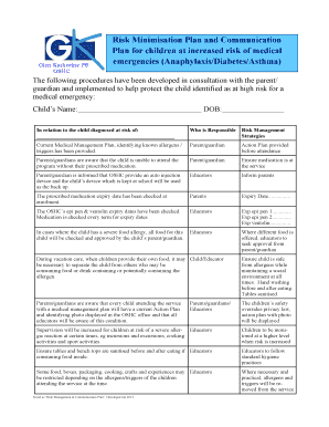 Risk Minimisation Plan Childcare Template  Form