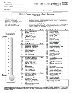 Holistic Needs Assessment Template  Form