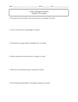 Porifera Sponge Worksheet Answers  Form