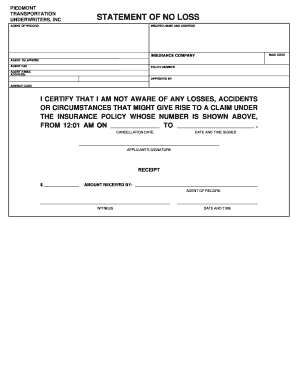 Printable No Loss Statement  Form