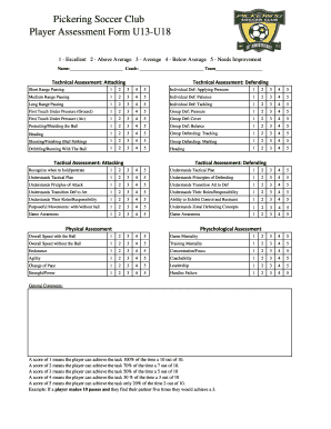 Player Assessment Form