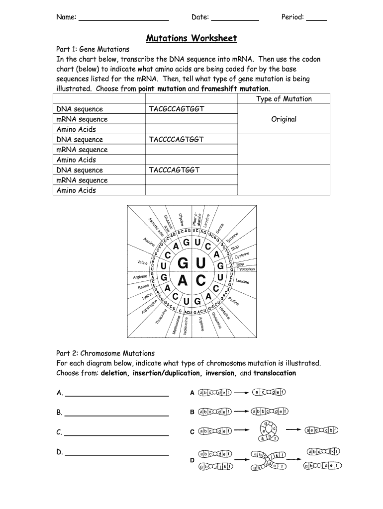 Mutations Worksheet Part 1 Gene Mutations Answer Key  Form