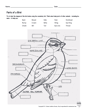Parts of a Bird Worksheet  Form