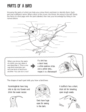 Parts of a Bird Worksheet  Form