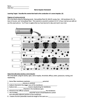 Nerve Impulse Homework Answer Key  Form