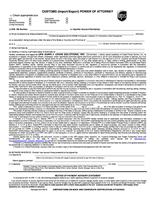 Customs Power of Attorney Form Example