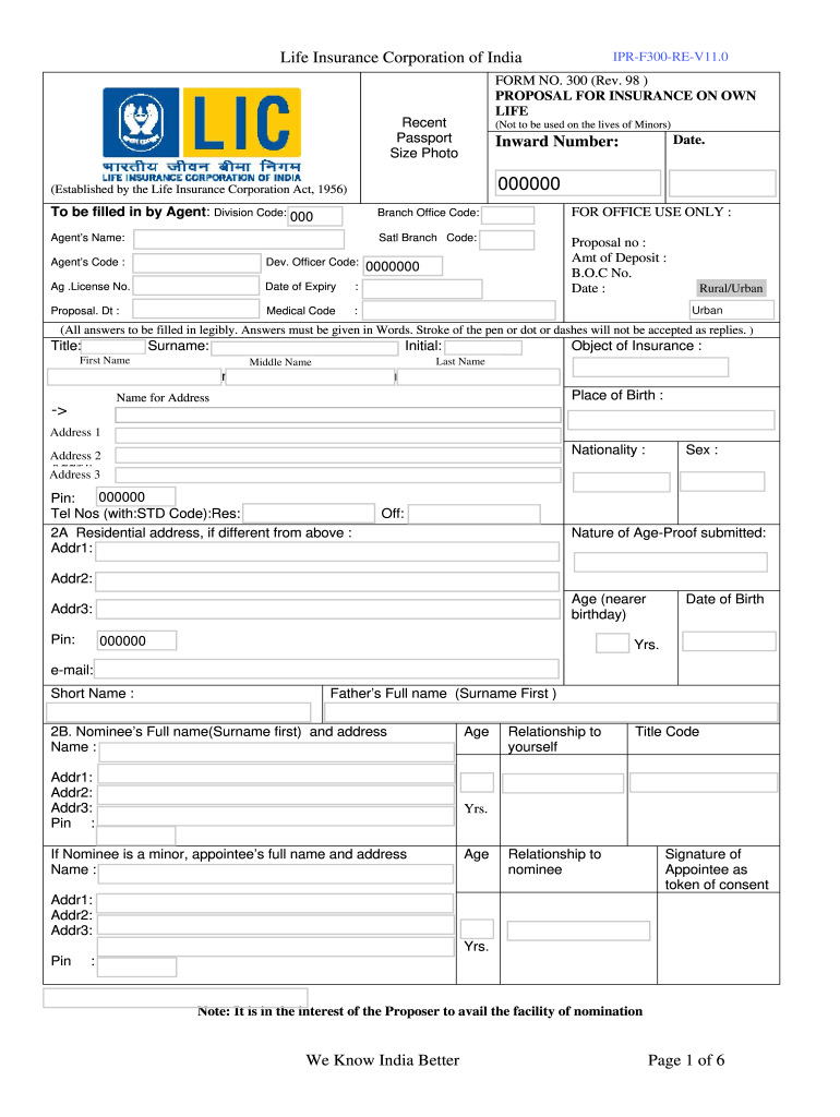 Lic Form 300