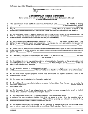 Mocondo Junior Form