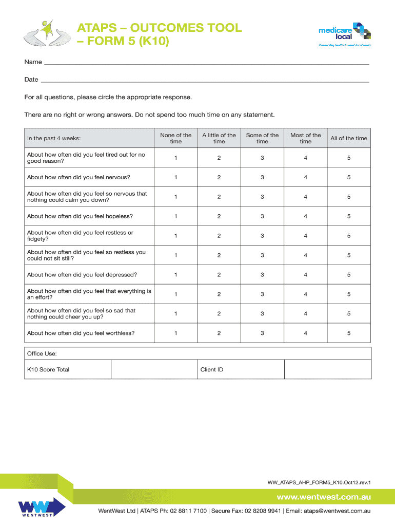 K10 PDF  Form