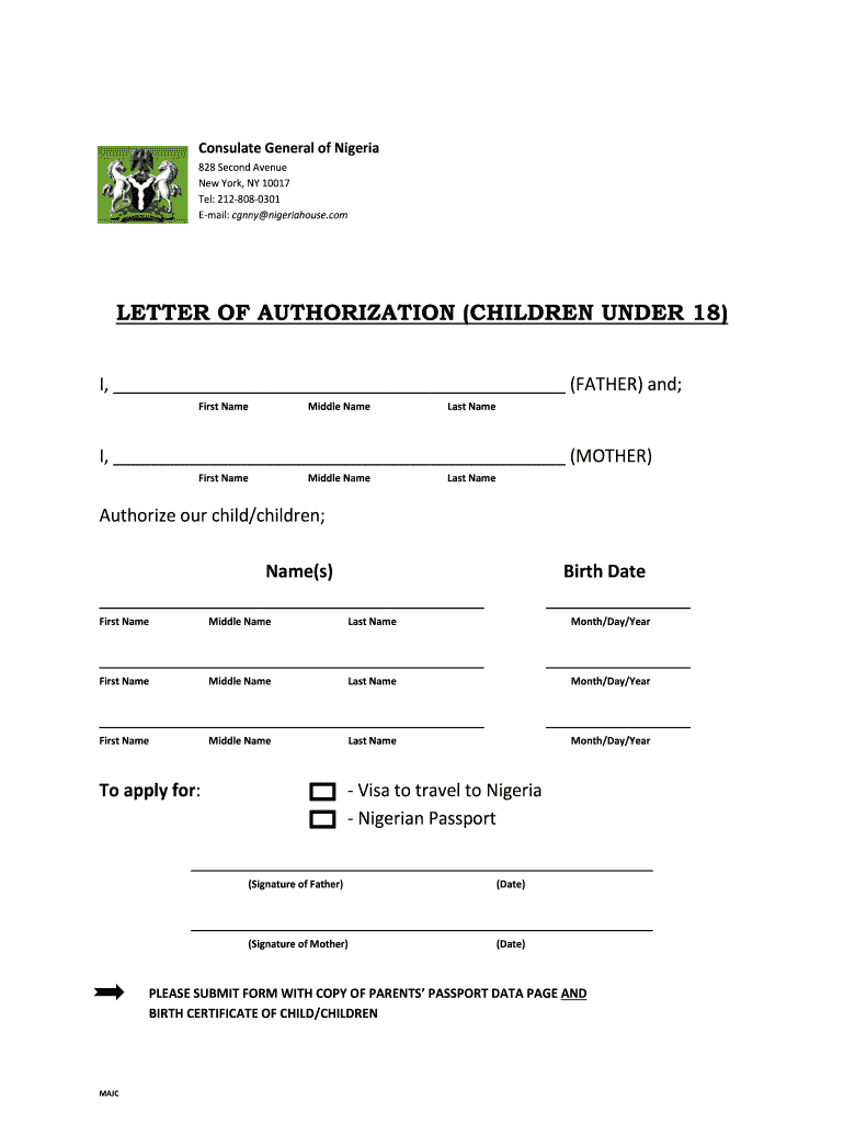 Nigeria Embassy New York  Form