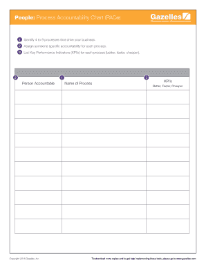 People Process Accountability Chart PACe Gaining Results  Form